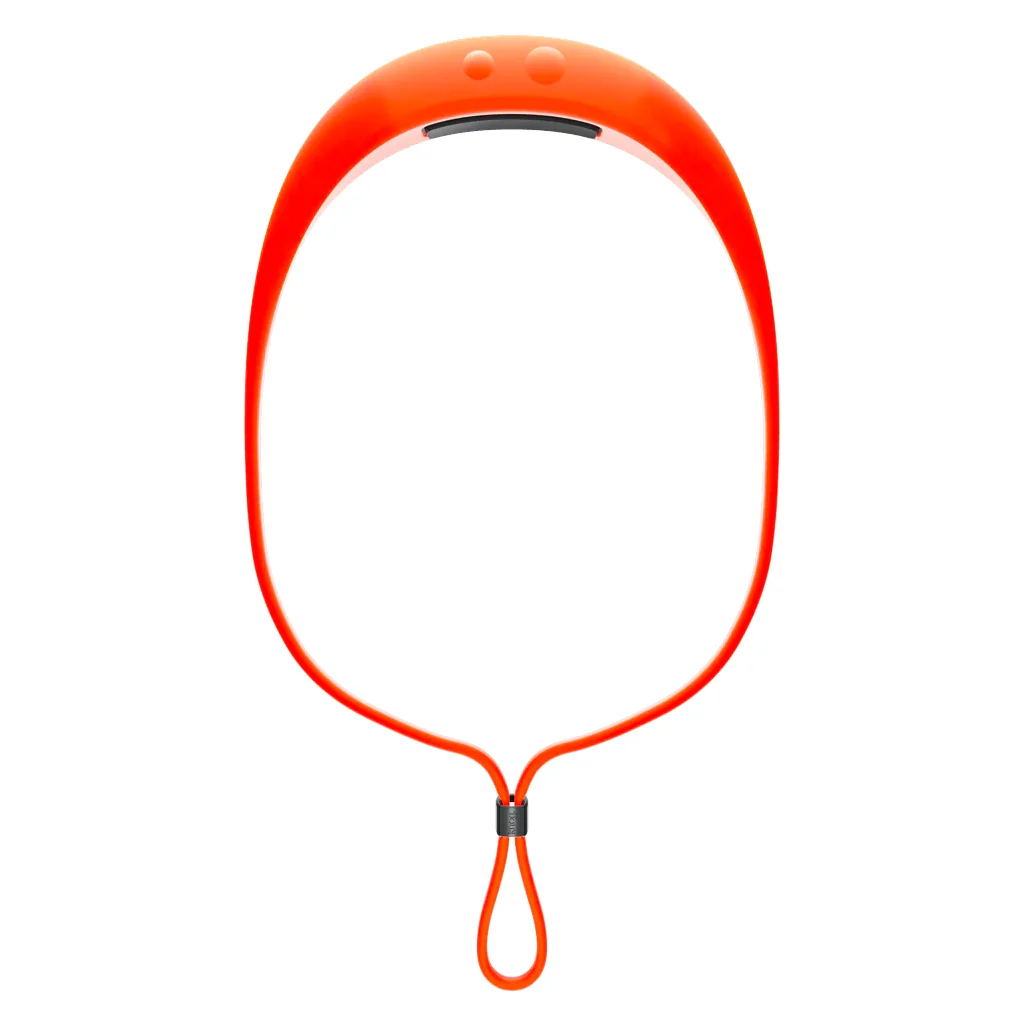 Thumbnail 21